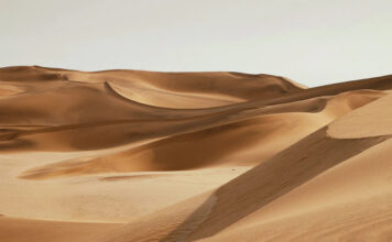 Древесная пыль превратит бесполезный песок пустынь в строительный бетон