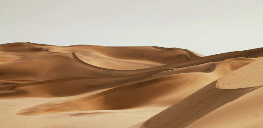 Древесная пыль превратит бесполезный песок пустынь в строительный бетон