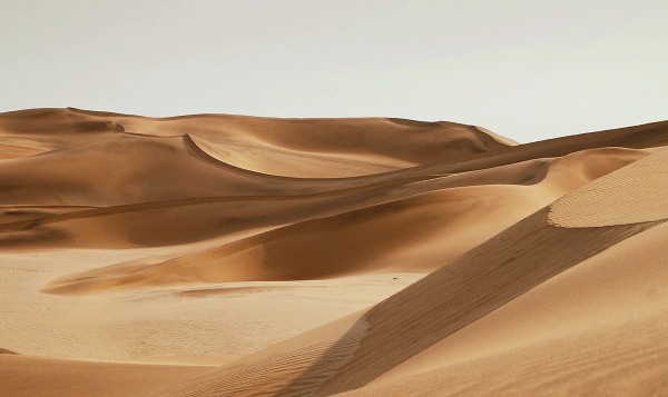 Древесная пыль превратит бесполезный песок пустынь в строительный бетон