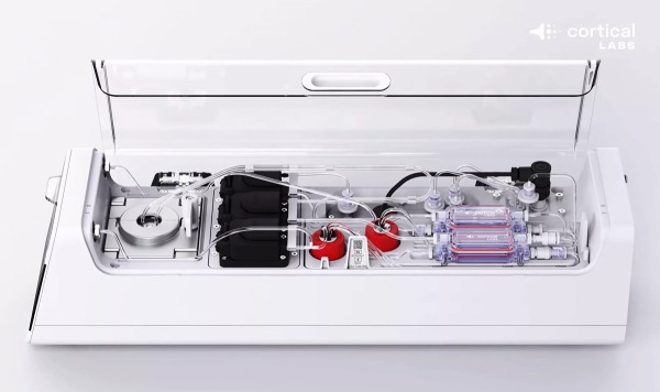 Система на живых человеческих неройнах от Cortical Labs научилась запускать Doom