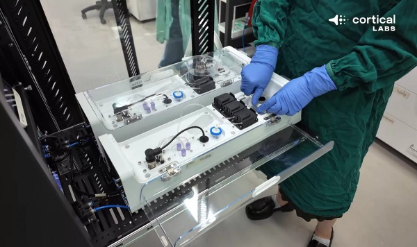 Система на живых человеческих неройнах от Cortical Labs научилась запускать Doom