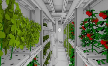 В России работают над овощным климатроном для марсианских миссий