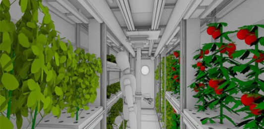 В России работают над овощным климатроном для марсианских миссий