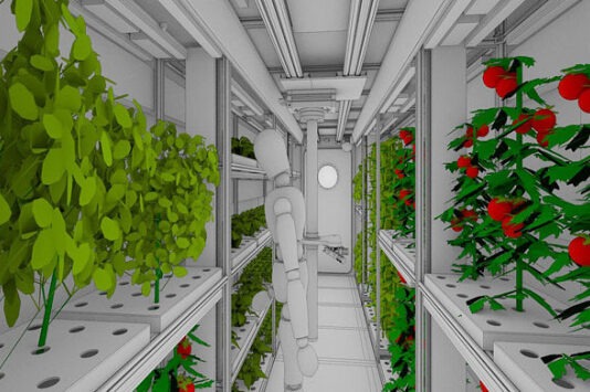 В России работают над овощным климатроном для марсианских миссий