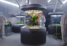 Ученые вырастили съедобный урожай на удобрении из марсианской пыли