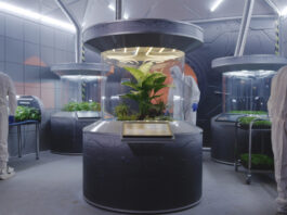 Ученые вырастили съедобный урожай на удобрении из марсианской пыли