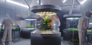 Ученые вырастили съедобный урожай на удобрении из марсианской пыли