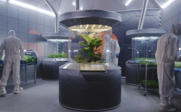 Ученые вырастили съедобный урожай на удобрении из марсианской пыли