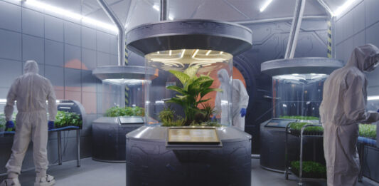 Ученые вырастили съедобный урожай на удобрении из марсианской пыли