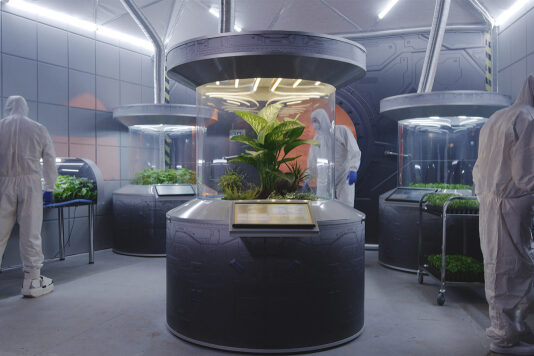 Ученые вырастили съедобный урожай на удобрении из марсианской пыли