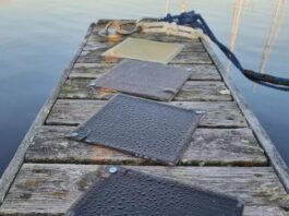 Древесная смола из Финляндии превосходит обычный пластик — и при этом поддается переработке