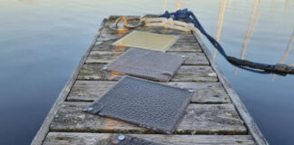 Древесная смола из Финляндии превосходит обычный пластик — и при этом поддается переработке