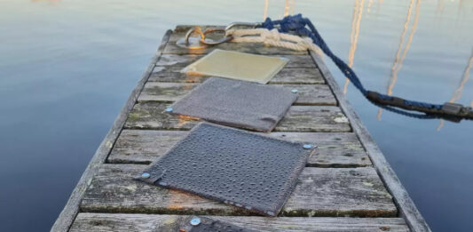 Древесная смола из Финляндии превосходит обычный пластик — и при этом поддается переработке