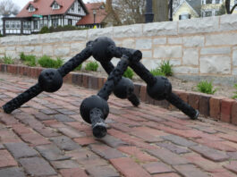 Созданный нейросетью робот почти неуязвим — его можно даже разрезать пополам