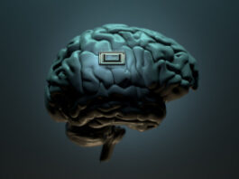 Китай первым в мире официально одобрил коммерческое использование мозговых имплантов NEO