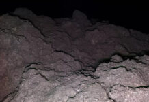 На астероиде Рюгу обнаружены все пять ключевых элементов для зарождения жизни
