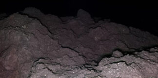 На астероиде Рюгу обнаружены все пять ключевых элементов для зарождения жизни