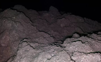 На астероиде Рюгу обнаружены все пять ключевых элементов для зарождения жизни