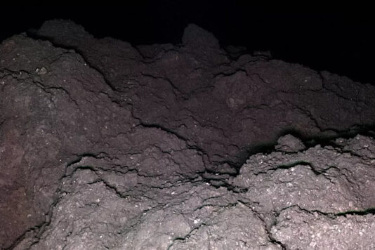 На астероиде Рюгу обнаружены все пять ключевых элементов для зарождения жизни