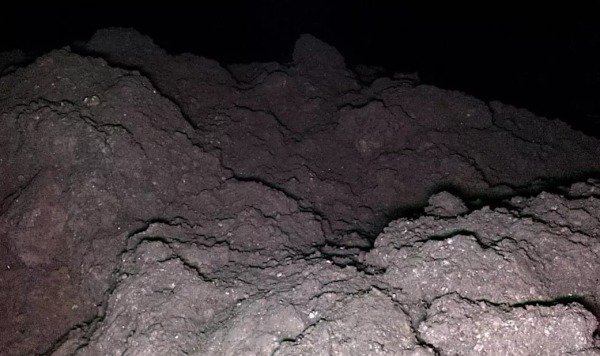 На астероиде Рюгу обнаружены все пять ключевых элементов для зарождения жизни