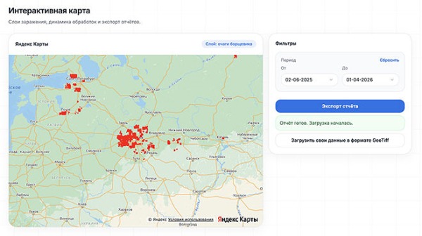 &laquo;Яндекс&raquo; запустил ИИ-сервис, обнаруживающий борщевик по спутниковым снимкам