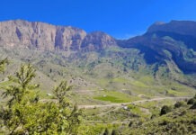 В Узбекистане найден древнейший город Шелкового пути возрастом более 3000 лет