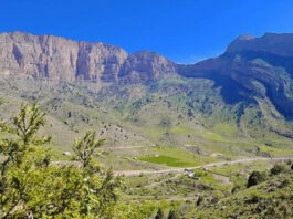 В Узбекистане найден древнейший город Шелкового пути возрастом более 3000 лет
