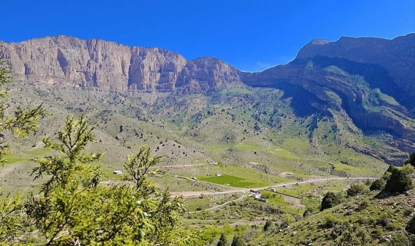 В Узбекистане найден древнейший город Шелкового пути возрастом более 3000 лет