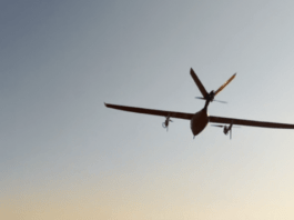 В Китае разрабатывают высокоэффективный дрон из бамбука