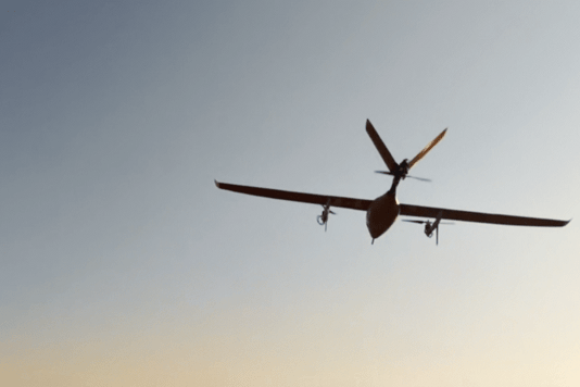 В Китае разрабатывают высокоэффективный дрон из бамбука