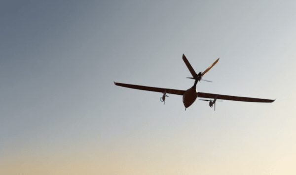 В Китае разрабатывают высокоэффективный дрон из бамбука