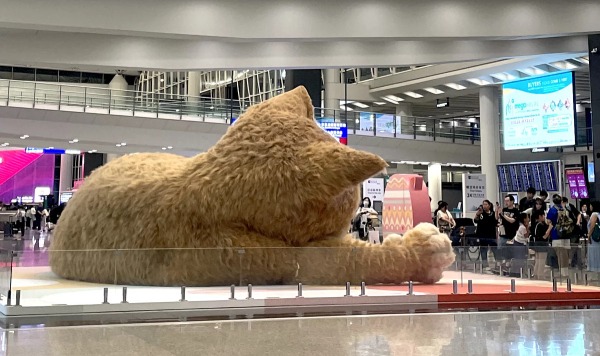В аэропорту Гонконга поселилась гигантская пушистая кошка