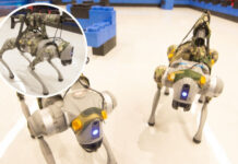 Китайские инженеры обучают боевых робопсов действовать в стае