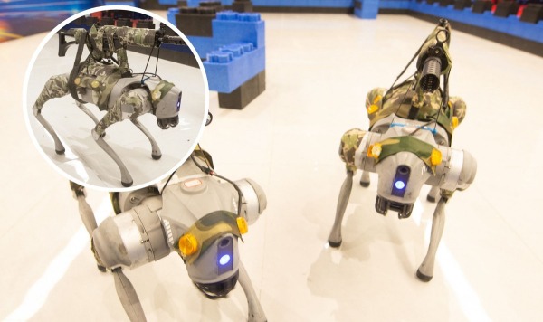 Китайские инженеры обучают боевых робопсов действовать в стае