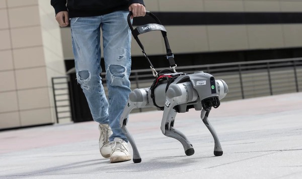 Роботы-поводыри справляются с работой лучше, чем специально обученные собаки