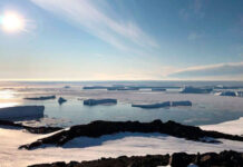 Российские ученые открыли новый оазис в Антарктиде