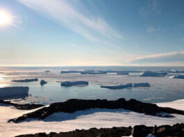 Российские ученые открыли новый оазис в Антарктиде