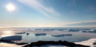 Российские ученые открыли новый оазис в Антарктиде