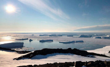 Российские ученые открыли новый оазис в Антарктиде