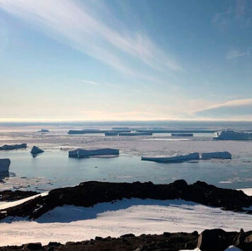 Российские ученые открыли новый оазис в Антарктиде