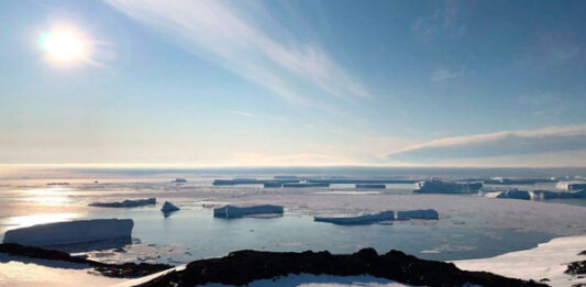 Российские ученые открыли новый оазис в Антарктиде