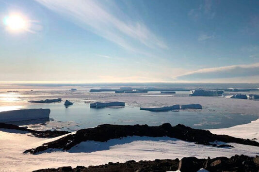 Российские ученые открыли новый оазис в Антарктиде