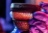 Искусственное яйцо из США поможет возродить гигантских вымерших птиц