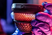 Искусственное яйцо из США поможет возродить гигантских вымерших птиц