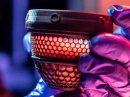 Искусственное яйцо из США поможет возродить гигантских вымерших птиц