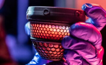Искусственное яйцо из США поможет возродить гигантских вымерших птиц