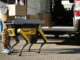 Знаменитый робопес Spot от Boston Dynamics готовится стать разносчиком посылок