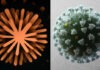 Anthropic засекла неназванных ученых за использованием ИИ Claude для создания биологического оружия
