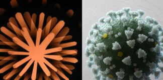 Anthropic засекла неназванных ученых за использованием ИИ Claude для создания биологического оружия