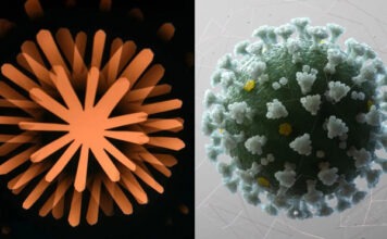 Anthropic засекла неназванных ученых за использованием ИИ Claude для создания биологического оружия